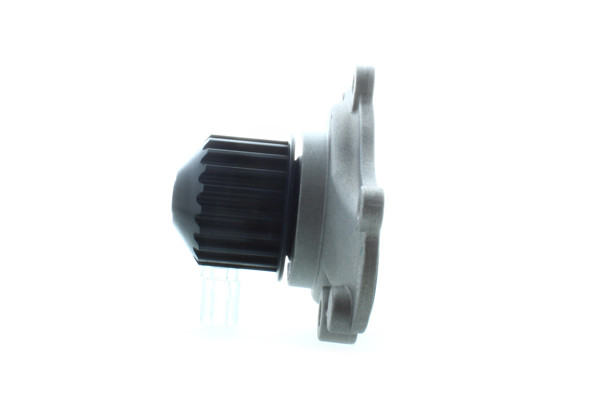AISIN Wasserpumpe, Motorkühlung